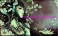 /album/prodotti-clippersone/donna-samuraia-filigrana-jpg/